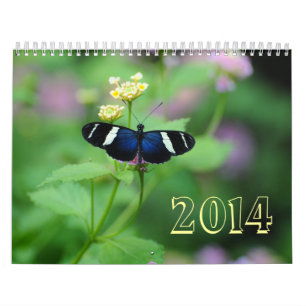 Wings of Wonderment Butterfly Kalender