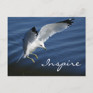 Wings Over Pennsylvania Post Card Briefkaart