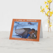 Wings Up Eastern Bluebird Birder Kaart (Gele Bloem)