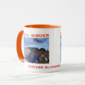 Wings Up Eastern Bluebird Birder Mok (Voorkant links)