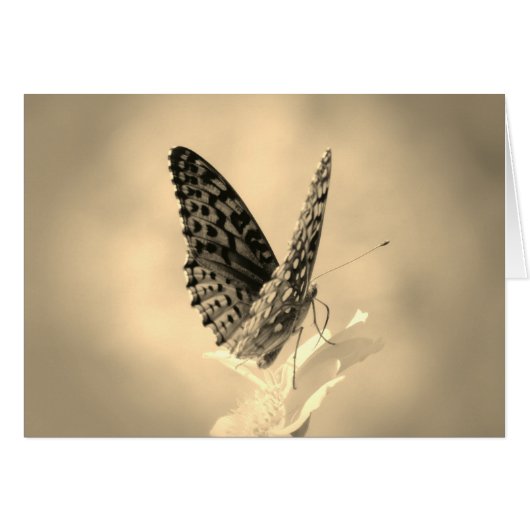 Wings Up - Fritillary Butterfly in sepia (Voorkant Horizontaal)