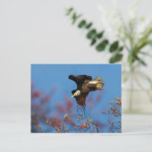 Wingschaduw Briefkaart (Staand voorkant)