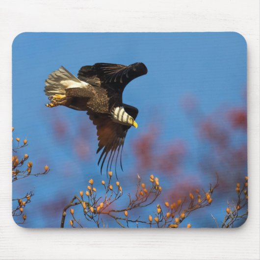 Wingschaduw Muismat (Voorkant)