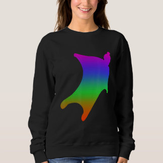 Wingsuit Flying Shadows In Rainbow Color Trui
