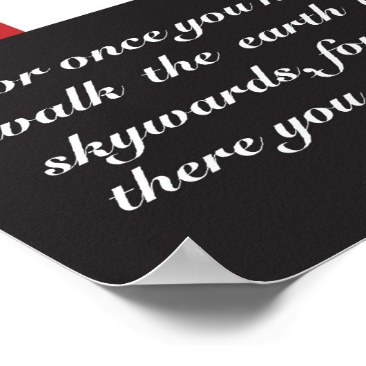 Wingsuit SkyDive Poster (Hoek)