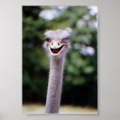 Wink Wink Poster (Voorkant)