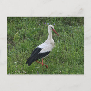 Winkel 1 briefkaart