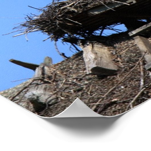 Winkel op nest poster (Hoek)