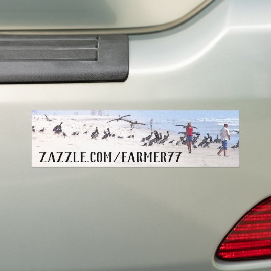 Winkeladres strand Pelican Birds Bumpersticker (Op auto)