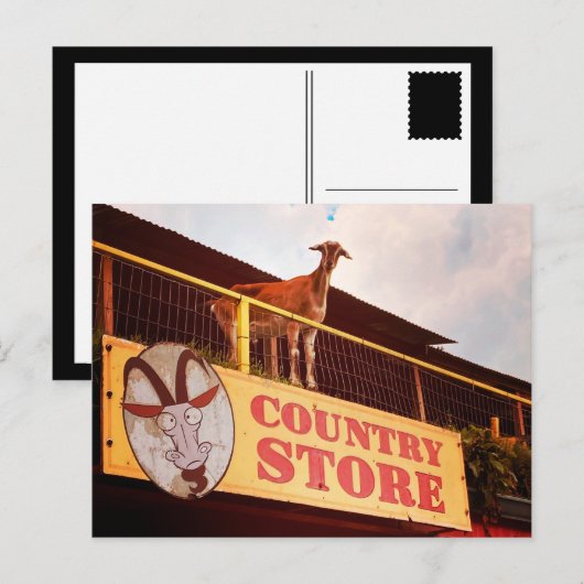 winkelgeit op het dak briefkaart (Voorkant / Achterkant)