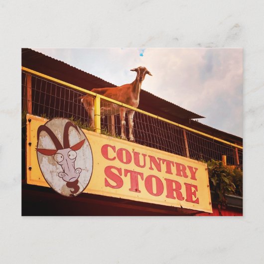 winkelgeit op het dak briefkaart (Voorkant)