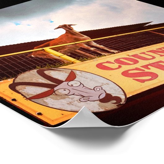 winkelgeit op het dak poster (Hoek)