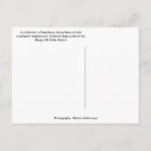 winkels van Olde Marco - Marco Island Florida Briefkaart (Achterkant)