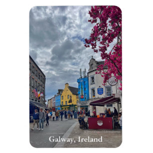 Winkelstraat in Galway, Ierland Magneet