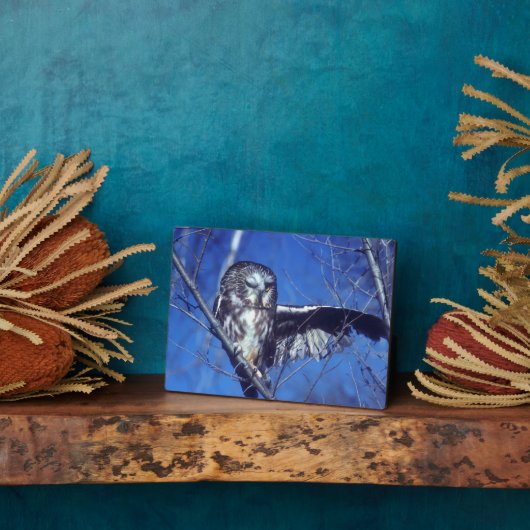 Winkeluil Fotoplaat (Zijkant)