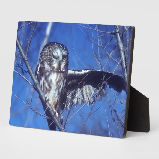 Winkeluil Fotoplaat (Zijkant)