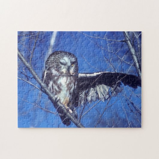 Winkeluil Legpuzzel (Horizontaal)