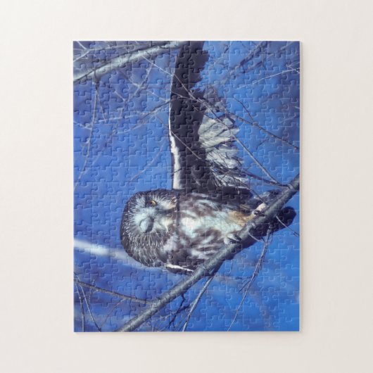 Winkeluil Legpuzzel (Verticaal)