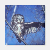 Winkeluil Magneet (Voorkant)