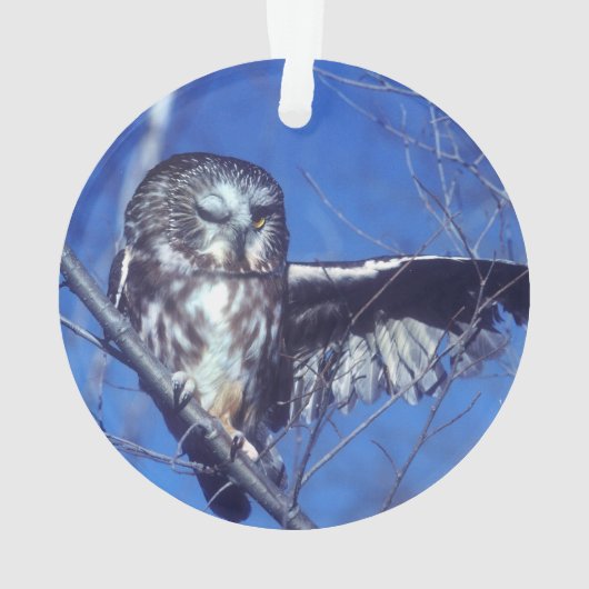 Winkeluil Ornament (achterkant)