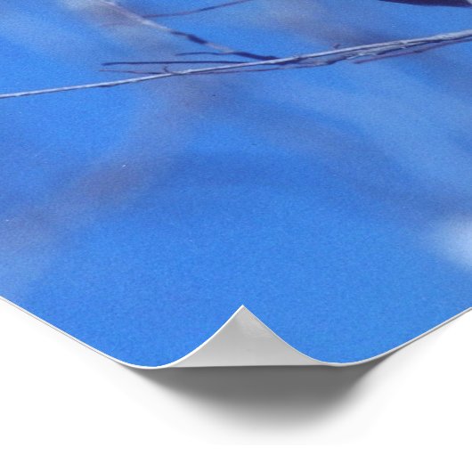 Winkeluil Poster (Hoek)