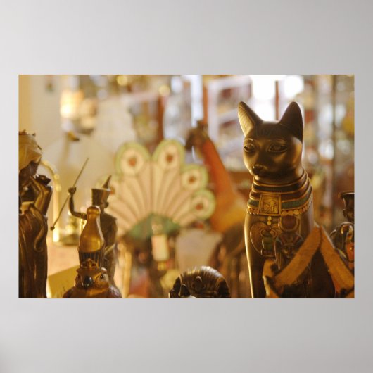 Winkelvenster met kat-sculptuur poster (Voorkant)