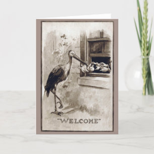 Winkelvoorraad Baby Vintage Aankondiging