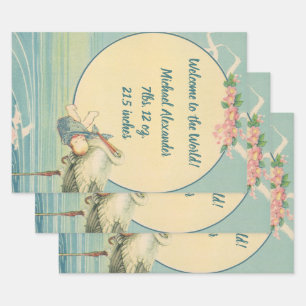 winkelwagentje met babyjongen in een blauwe tas inpakpapier vel