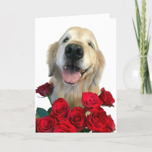 Winkelwieg met Rozen Moederdag Kaart