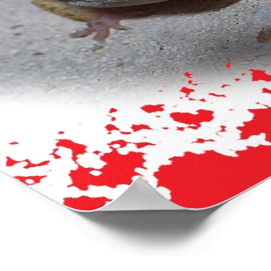 Winking Leopard Gecko Lizard Poster (Hoek)