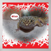 Winking Leopard Gecko Lizard Poster (Voorkant)