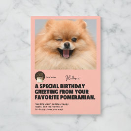 Winking Pomeranian Birthday Kaart
