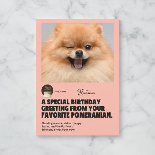 Winking Pomeranian Birthday Kaart