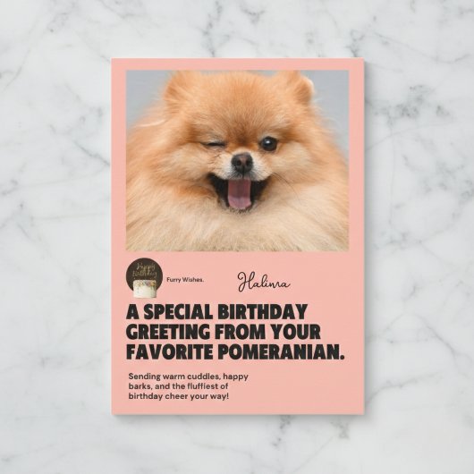Winking Pomeranian Birthday Kaart