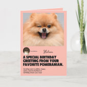 Winking Pomeranian Birthday Kaart (Voorkant)