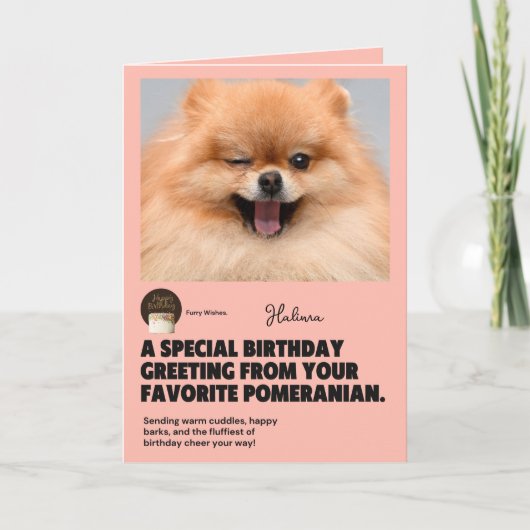 Winking Pomeranian Birthday Kaart (Voorkant)