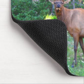 Winkypad Muismat (Hoek)