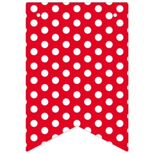 Winnaars Cirkel Kleurrijke Derby Party Decoratie Vlaggetjes (Eerste vlag)