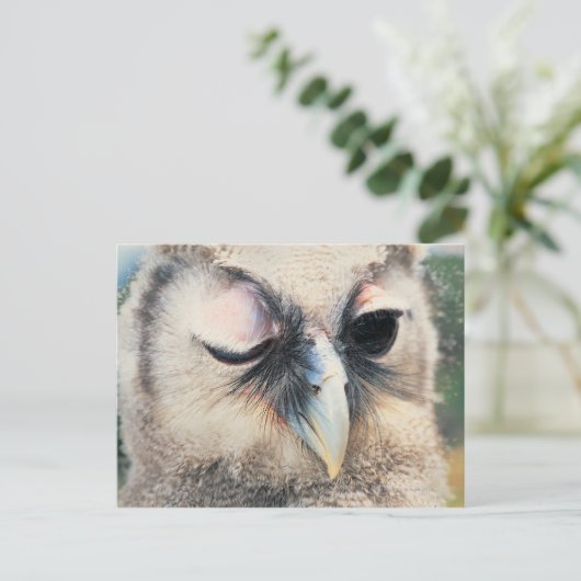 Winnend Owl Briefkaart (Staand voorkant)