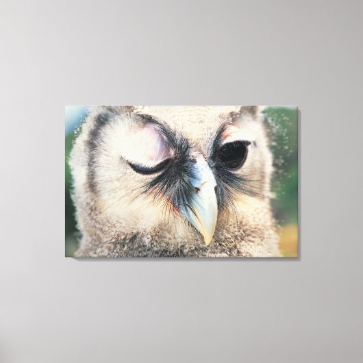Winnend Owl Canvas Afdruk (Voorkant)