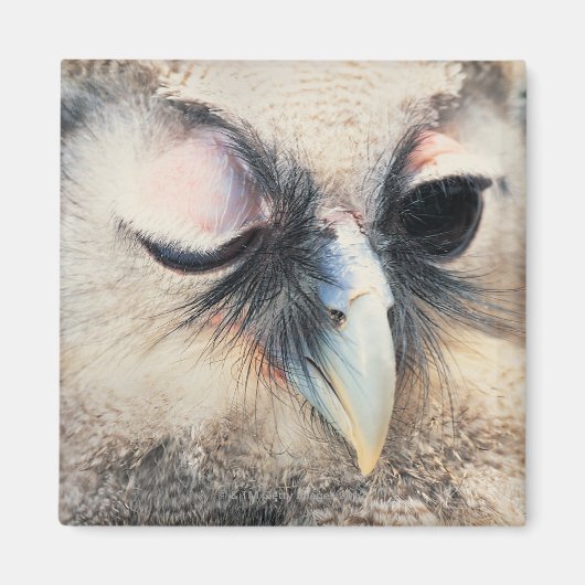 Winnend Owl Magneet (Voorkant)