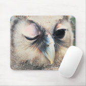 Winnend Owl Muismat (Met muis)