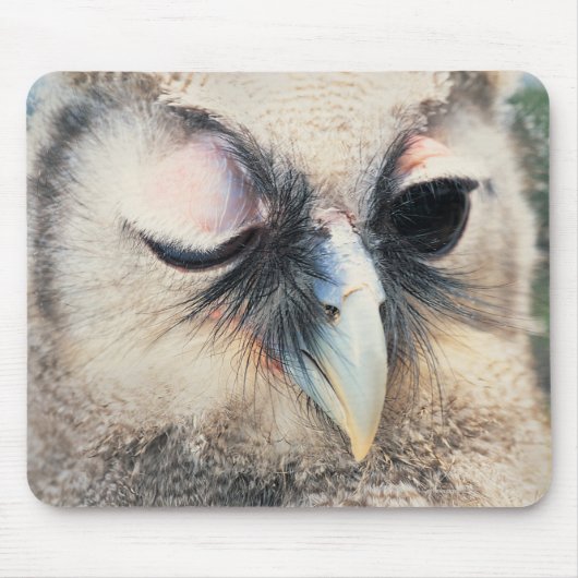 Winnend Owl Muismat (Voorkant)