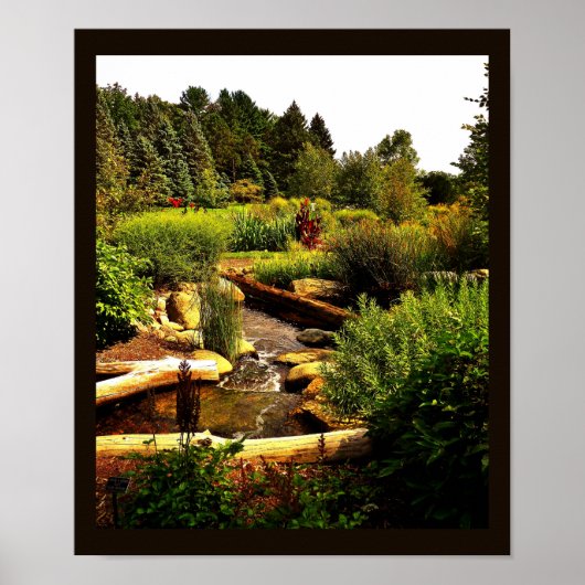 Winnende Creek Poster (Voorkant)