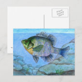 Winnende illustratie door L. Luan, rang 7 Briefkaart (Voorkant / Achterkant)