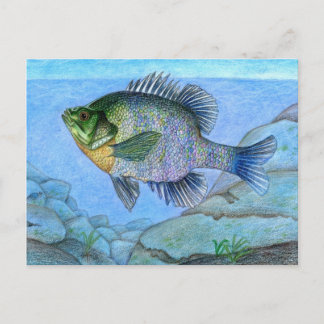 Winnende illustratie door L. Luan, rang 7 Briefkaart