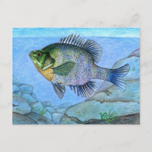 Winnende illustratie door L. Luan, rang 7 Briefkaart (Voorkant)