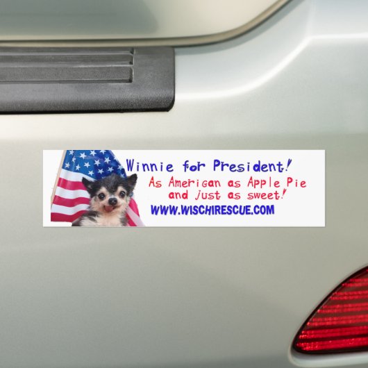Winnie for President (Bumpersticker) Bumpersticker (Op auto)