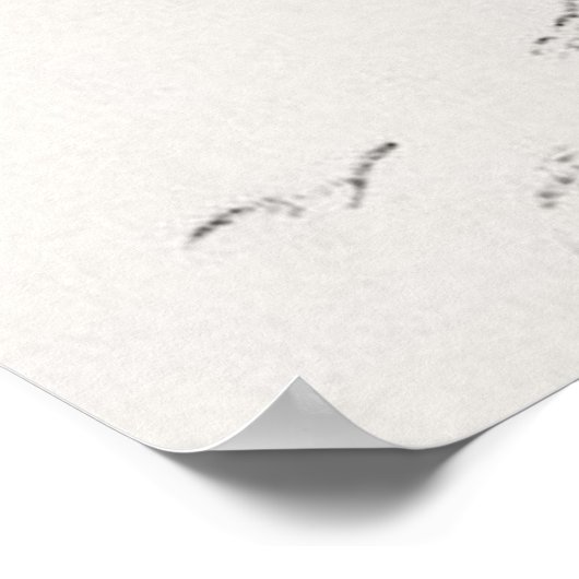 Winnie the Pooh Sketch Poster (Hoek)