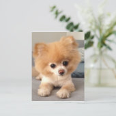 Winnie with a Fresh Cut Briefkaart (Staand voorkant)